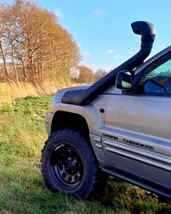 Jeep Grand Cherokee cena 43900 przebieg: 255475, rok produkcji 2000 z Wejherowo małe 172